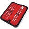 A2Z Scilab 5 Pcs Dental Picks Stainless Steel Set with Carrying Case A2Z-ZR-KIT-145 - alternate 1